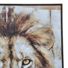 Wall Art Lion FCL7834 Close