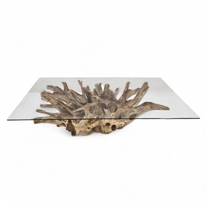 1.5m Teak Root Rectangular Coffee Table Main