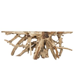 Console Root Erosi Teak Table INJ5400A9 Front