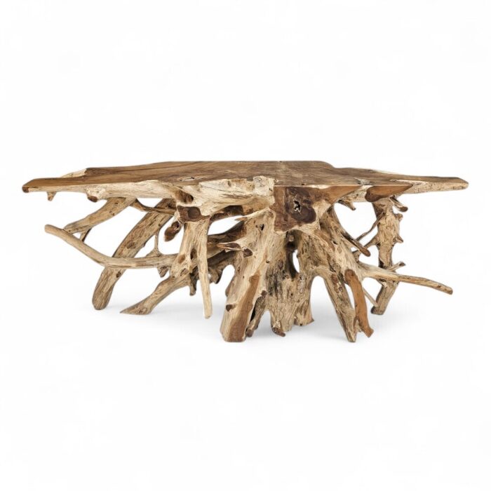 Console Root Erosi Teak Table INJ5400A9 Main