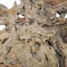 Erosi Root Coffee Table 90cm INJ3400A14 Close