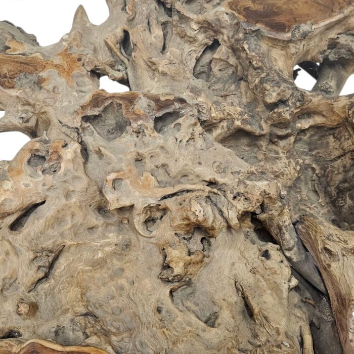 Erosi Root Coffee Table 90cm INJ3400A14 Close Erosi Root Coffee Table 90cm INJ3400A14 Close