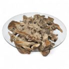 Erosi Root Coffee Table 90cm INJ3400A14 Main
