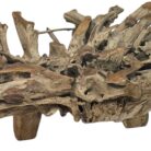 Erosi Teak Coffee Root Table INJ3690A4 close