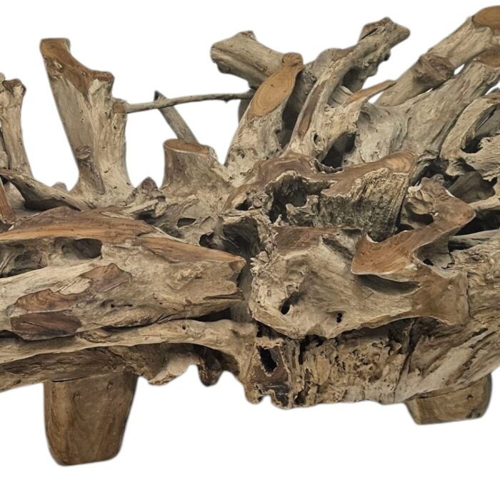 Erosi Teak Coffee Root Table INJ3690A4 close