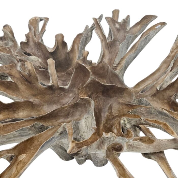 Root Dining Table INJ0770A8 Close