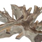 Root Rectangualr Coffee Table Close INJ4725A2 Close