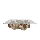 Root Rectangualr Coffee Table INJ4755A2