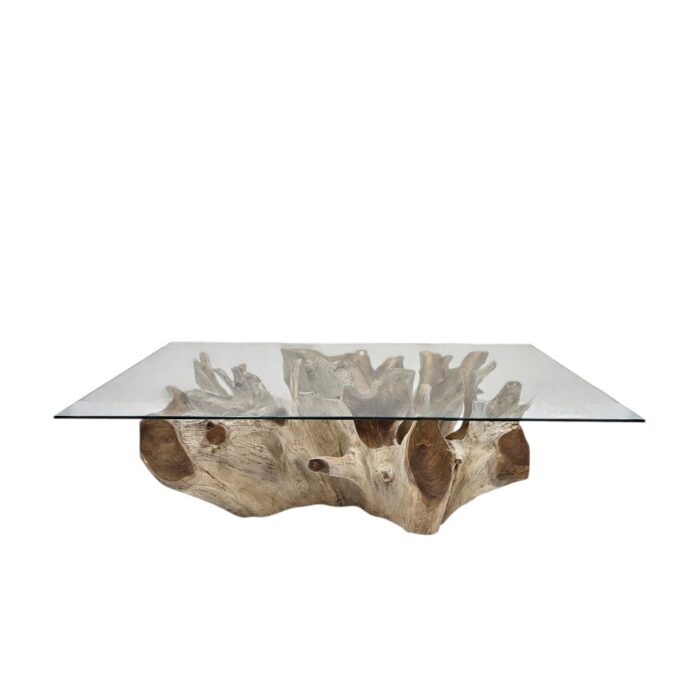 Root Rectangualr Coffee Table INJ4755A2