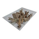 Root Rectangualr Coffee Table Side INJ4725A2