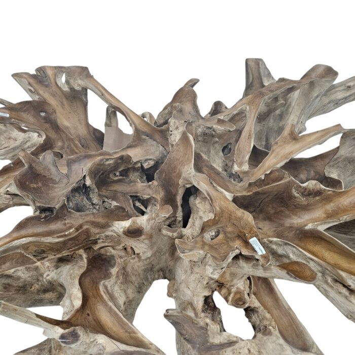 Root Rectangular Coffee Table its 150 x 100 x 45 cm Close