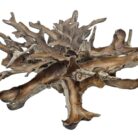 Root Scoop Dining Table INJ0760A11 Close