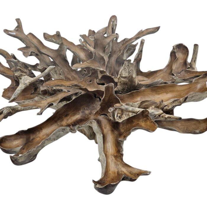 Root Scoop Dining Table INJ0760A11 Close Root Scoop Dining Table INJ0760A11 Close