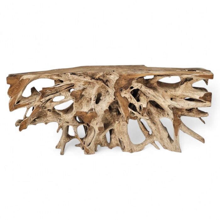 Teak Root console table INJ5058A9 Main Teak Root console table INJ5058A9 Main