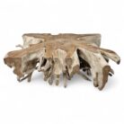 Block Rectangular Coffee Root Table INJ9600A1 Main
