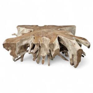 Burmese Teak Tree Root Coffee Table