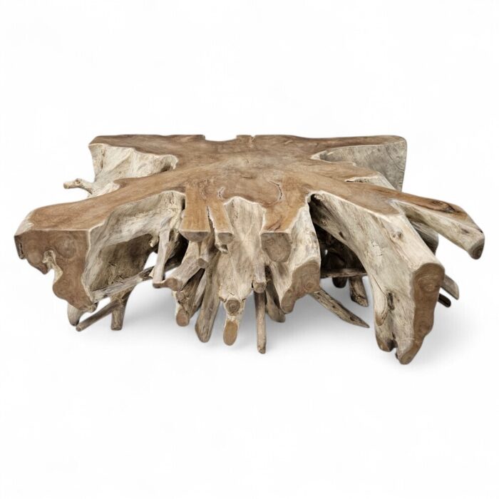 Block Rectangular Coffee Root Table INJ9600A1 Main