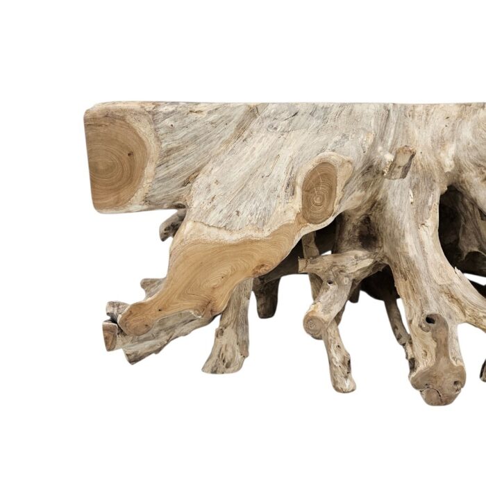 Block Tree Root Coffee Table Rectangular INJ9600A2 Close Block Tree Root Coffee Table Rectangular INJ9600A2 Close