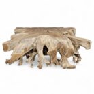 Block Tree Root Coffee Table Rectangular INJ9600A2 Main
