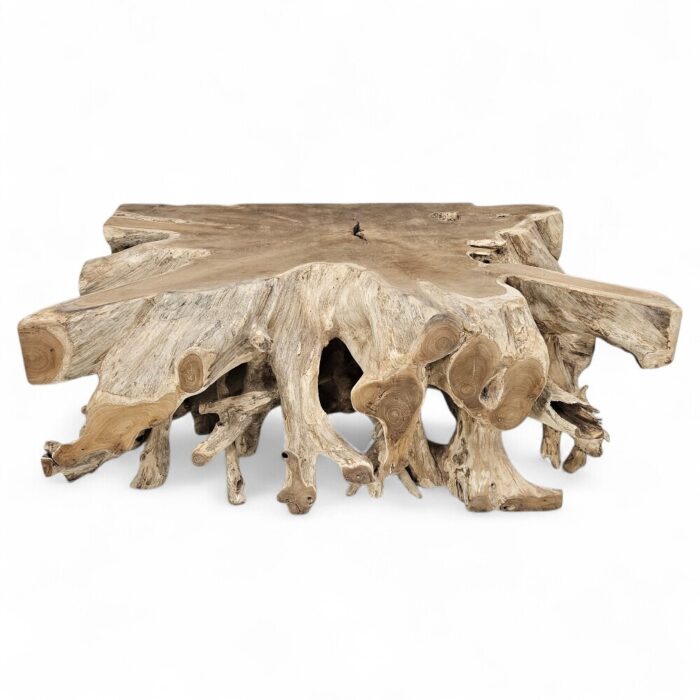 Block Tree Root Coffee Table Rectangular INJ9600A2 Main Block Tree Root Coffee Table Rectangular INJ9600A2 Main