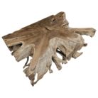 Block Tree Root Coffee Table Rectangular INJ9600A2 Side
