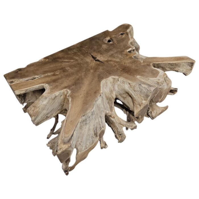 Block Tree Root Coffee Table Rectangular INJ9600A2 Side Block Tree Root Coffee Table Rectangular INJ9600A2 Side