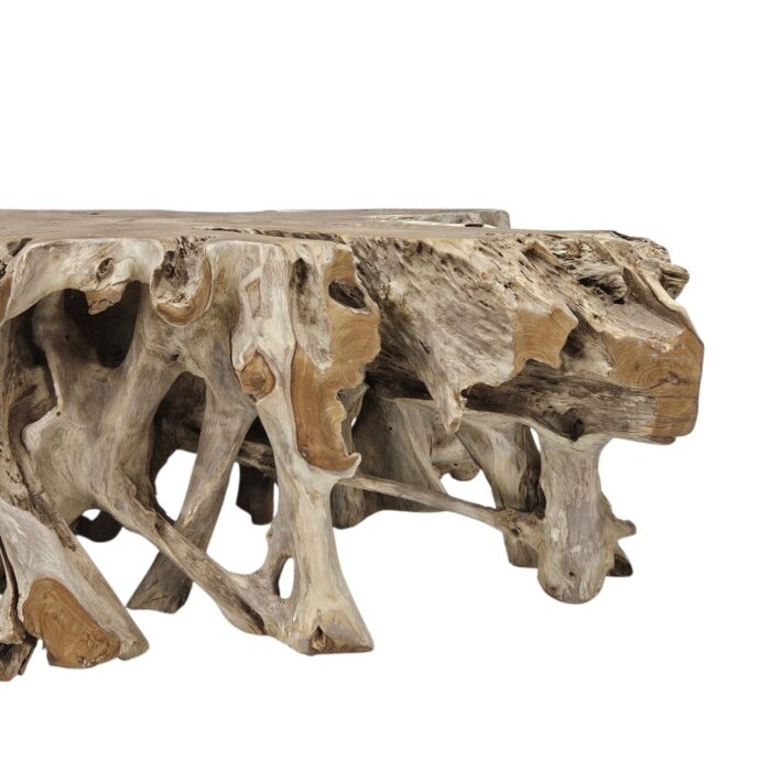 Coffee Table Root Block INJ9600A3 Close Up Side Coffee Table Root Block INJ9600A3 Close Up Side