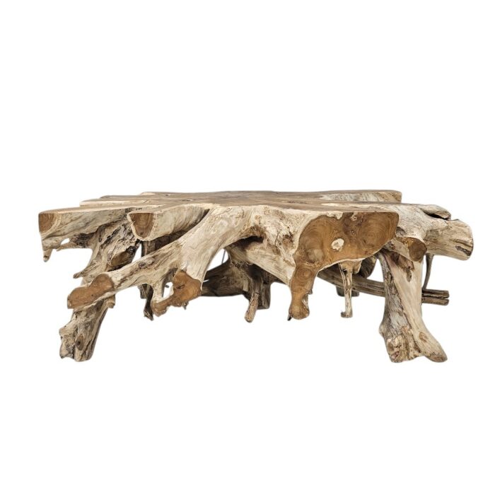 Coffee Table Root Block Rectangular INJ9600A4 Front Coffee Table Root Block Rectangular INJ9600A4 Front