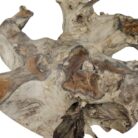 Coffee Table Root INJ3200A28 Close Up