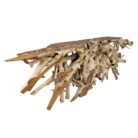 Erosi Root Console Table INJ5990 Side