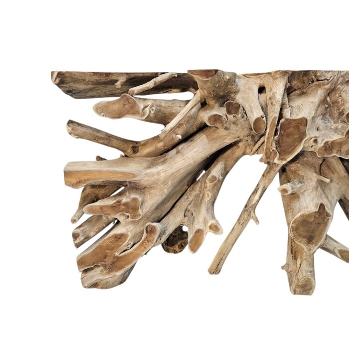 Erosi Root Console Table NJA9073A4 Close Up Erosi Root Console Table NJA9073A4 Close Up