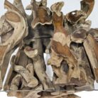 Erosi Root Teak Console Coffee Table