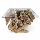 Erosi Root Teak Console Coffee Table