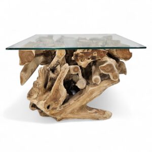 Erosi Root Teak Console Coffee Table