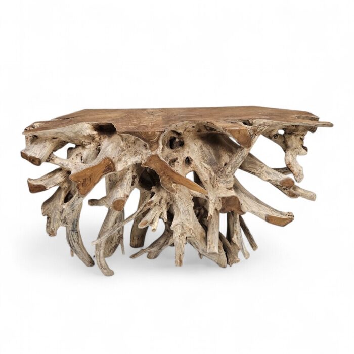 Erosi Root Teak Console Table NJA5053 Main