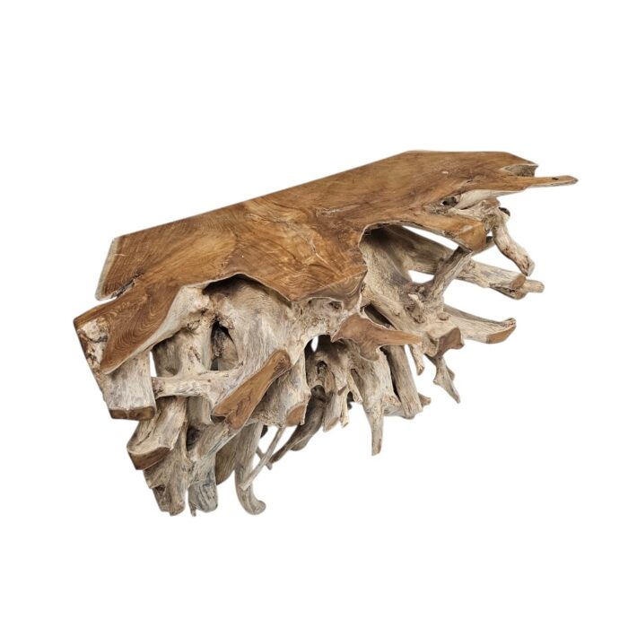 Erosi Root Teak Console Table NJA5053 Side