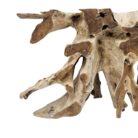 Erosi Root Teak Console Table NJA5055A10 Close