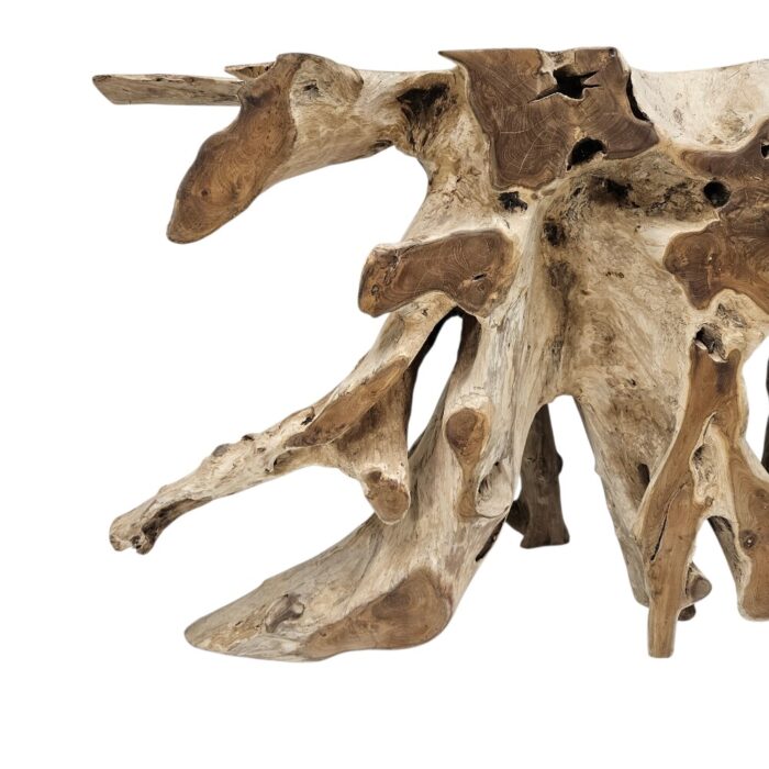 Erosi Root Teak Console Table NJA5055A10 Close