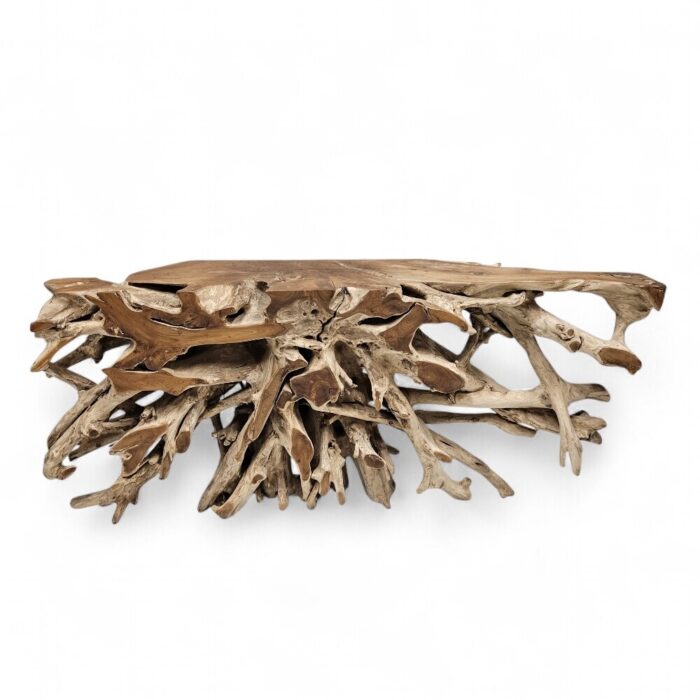 Erosi Root Teak Console Table NJA5058A10