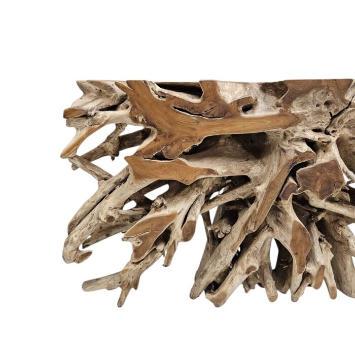 Erosi Root Teak Console Table NJA5058A10 Close