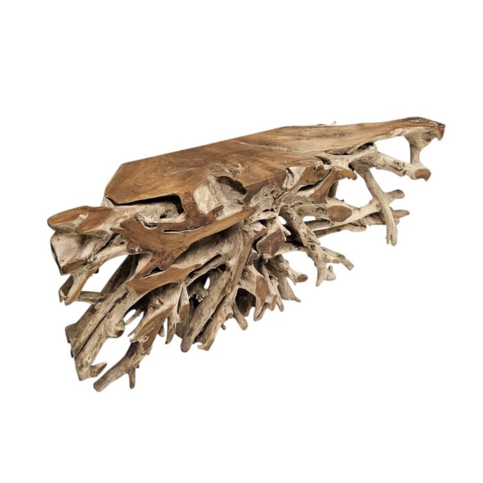 Erosi Root Teak Console Table NJA5058A10 Side