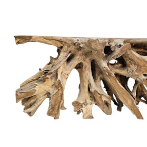 Erosi Root Teak Console Table NJA9073A5 Close