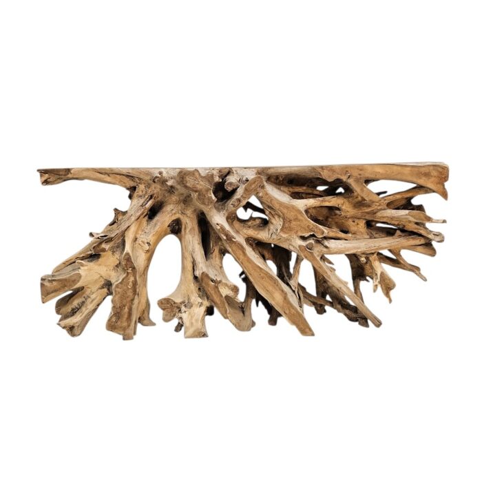 Erosi Root Teak Console Table NJA9073A5 Front