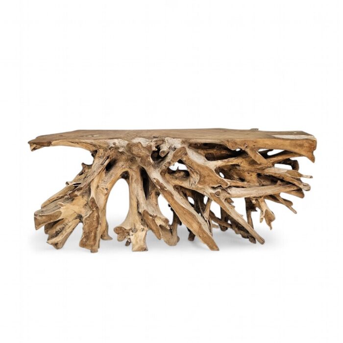 Erosi Root Teak Console Table NJA9073A5 Top
