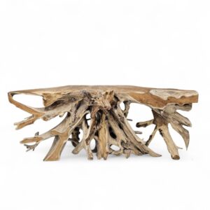 Erosi Teak Root Console Table 2m