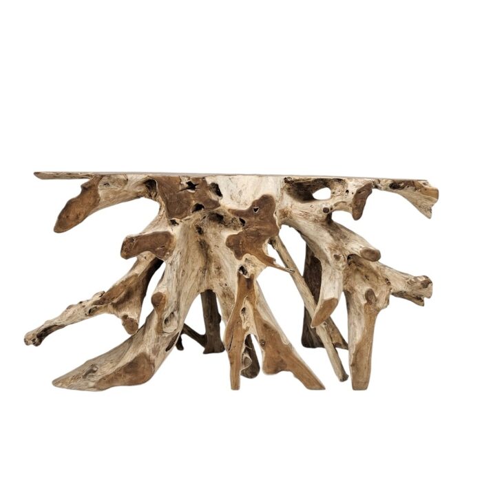 Erosi Teak Root Console Table INJ5055A9 Front