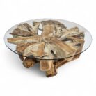 Ersoi Teak Root Coffee Table