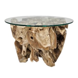 Burmese Teak Tree Root Coffee Table