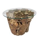 Ersoi Teak Root Coffee Table INJ3200A30 MAin