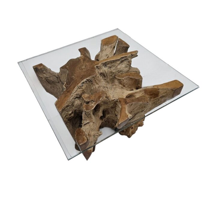 Teak Tree Root Square Coffee Table